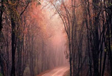 豪取五连胜!女子冰壶循环赛中国队战胜中国香港队央视体育.