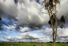 悟空体育官网:澳大利亚网球公开赛:乔科维奇苦战晋级 郑钦文爆冷出局.