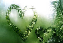 悟空体育官网:国足归化球员退潮,伊万更青睐年轻本土球员九派新闻.