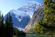 (杭州亚残运会)开幕式的“杭州式浪漫”:用一朵花 诉一段情中国新闻网.