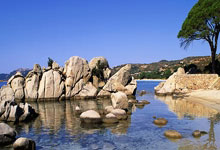 恭喜!2米24张子宇将参加WCBA联赛.